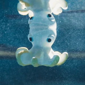 Banabae Orlando The Octopus Teether by Oli & Carol-Kids Books, Toys & Games | Bibs, Pacifiers & Teethers