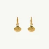 Banabae Shell Gold Earrings-Women Jewellery