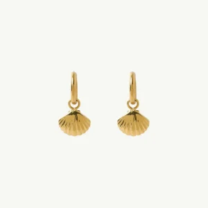 Banabae Shell Gold Earrings-Women Jewellery